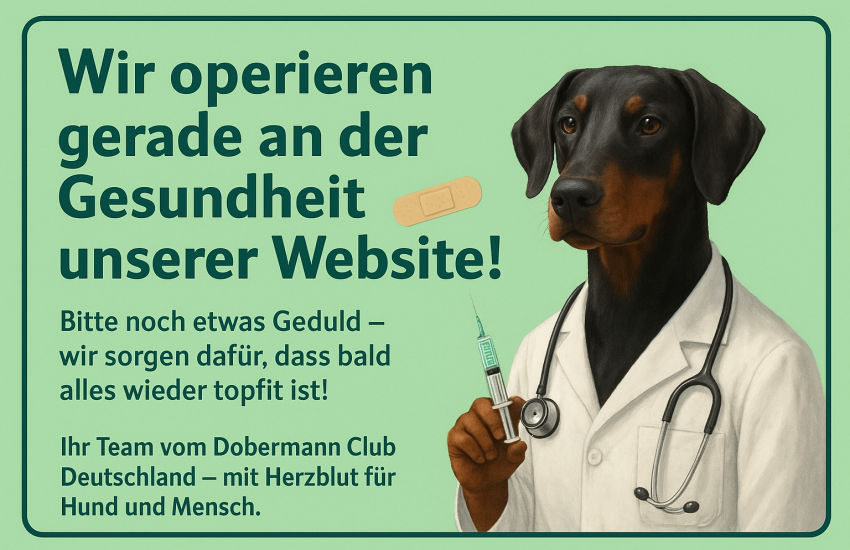 Baustelle-Gesundheit